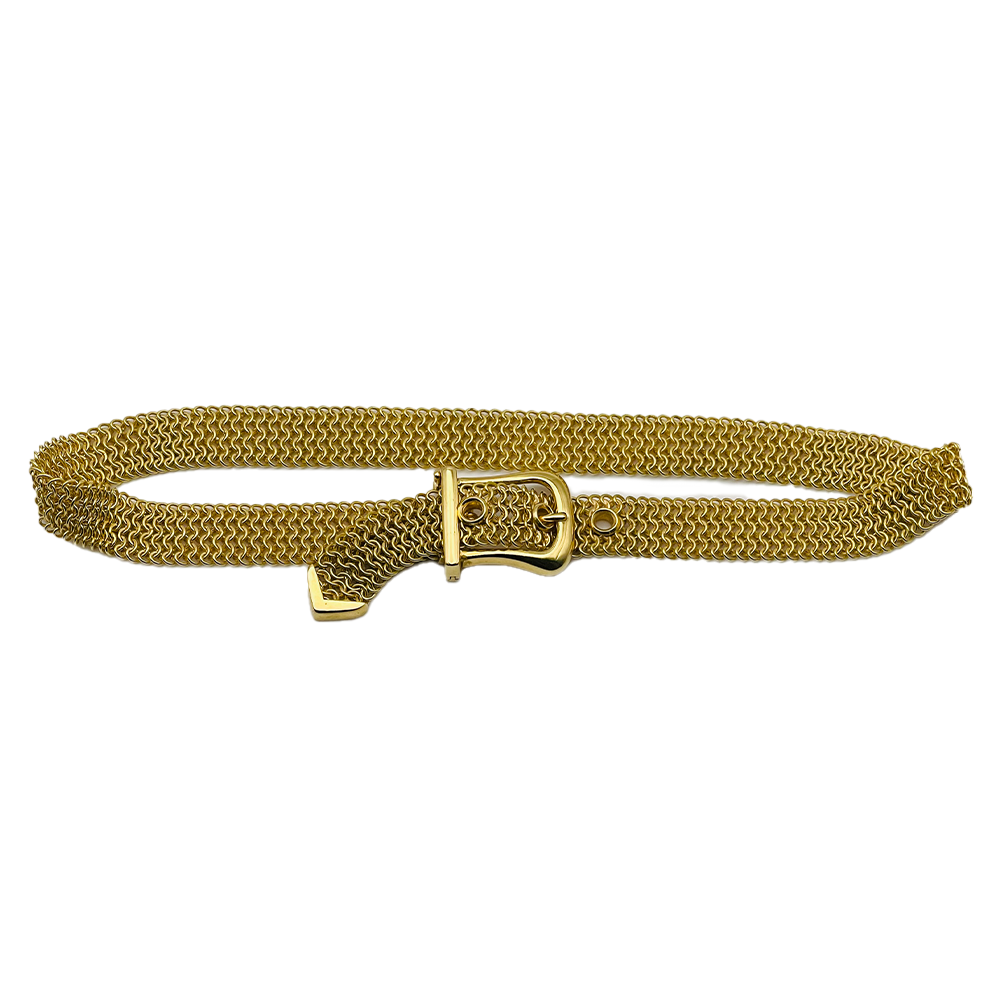 Tiffany & Company 18K Yellow Gold Belt Design Link Necklace