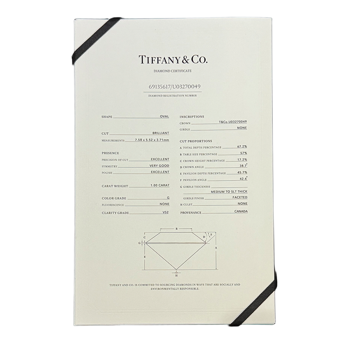 Tiffany & Co. Diamond Platinum Solitiare 1.00ct Oval Brilliant Ring